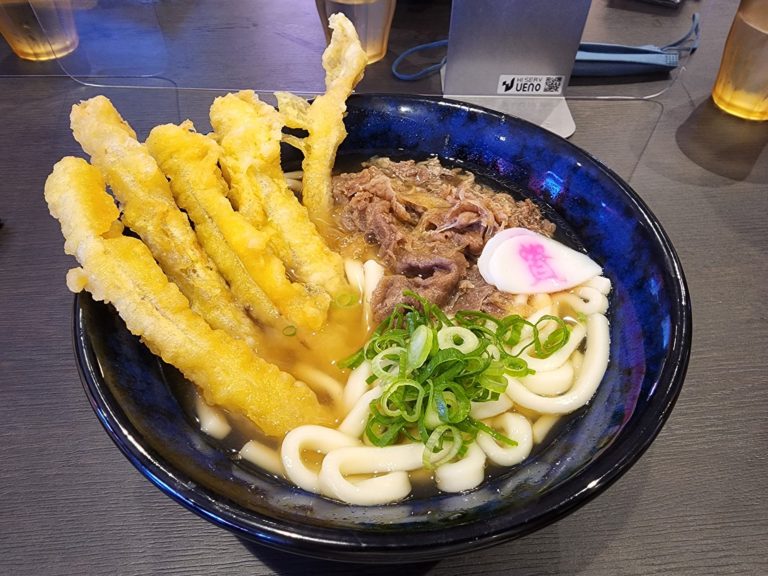 資さんうどん 日向財光寺店（宮崎県日向市財光寺４８１−３/肉ごぼ天うどん）