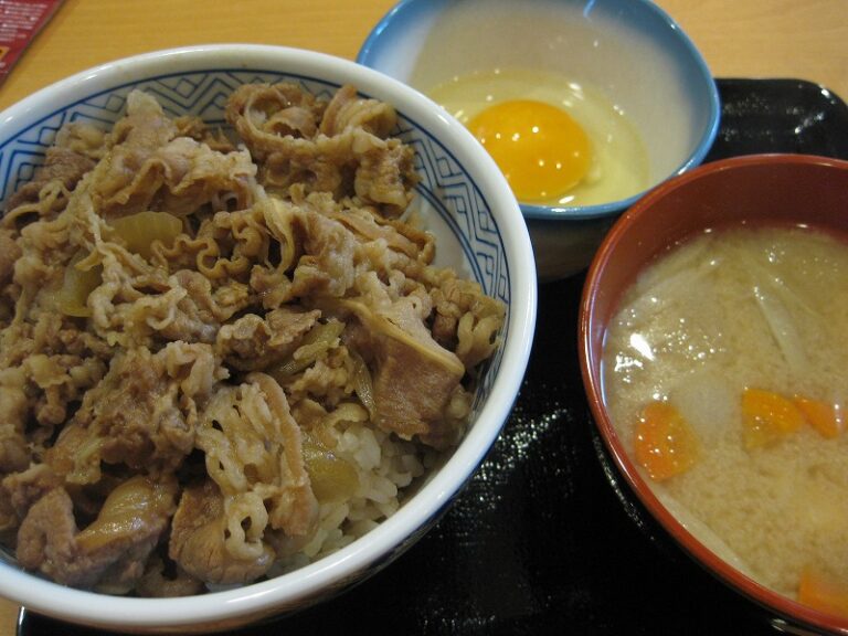 【閉店】吉野家 １０号線日向店